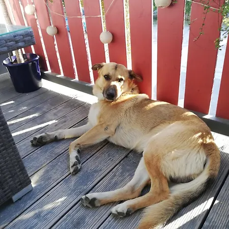 Bahnhofstrasse 48 B Apartman Kleinlangheim