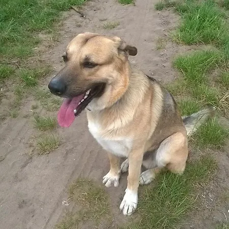 Bahnhofstrasse 48 B Kleinlangheim