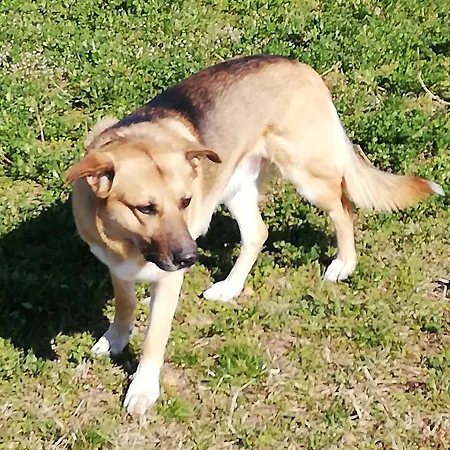 Apartman Bahnhofstrasse 48 B